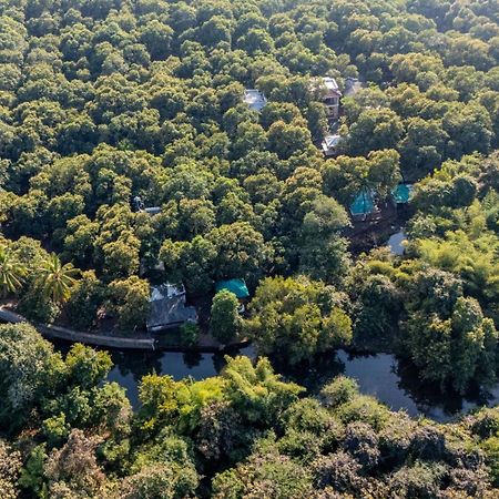 Brook Ville Sasan Gir Eksteriør bilde